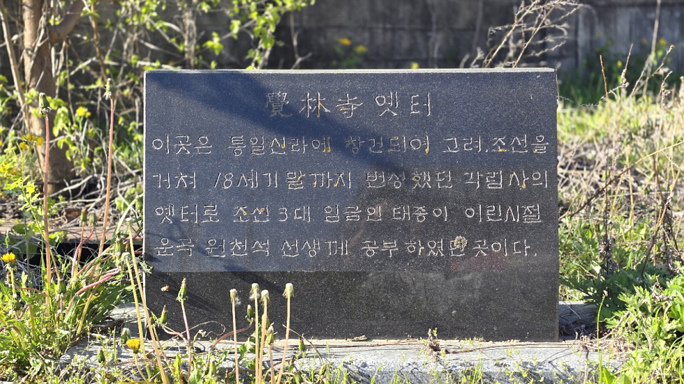 366e807465d54.jpg