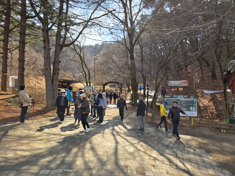 42f4d67ac1b23.jpg