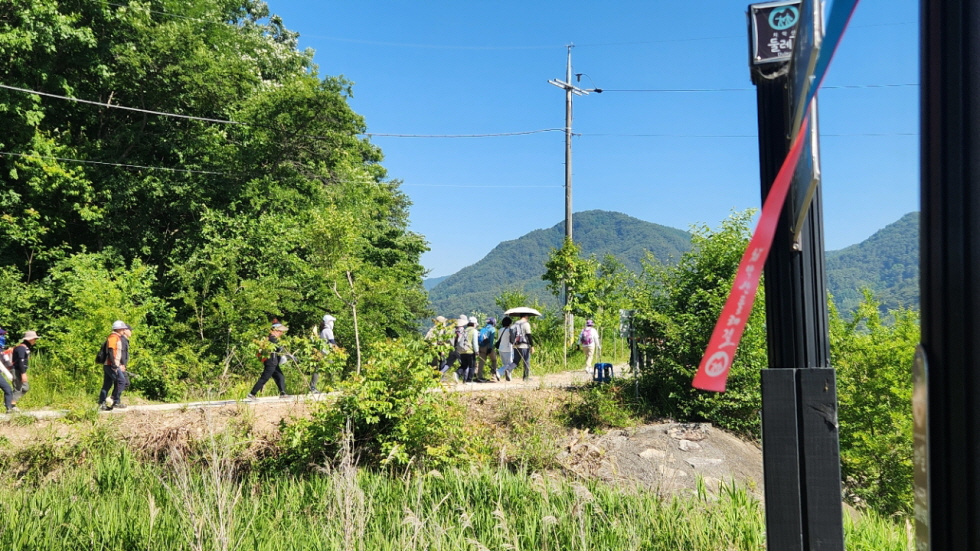 783cf67dd0450.jpg