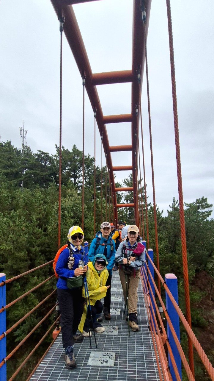 8e777cfaae9a6.jpg