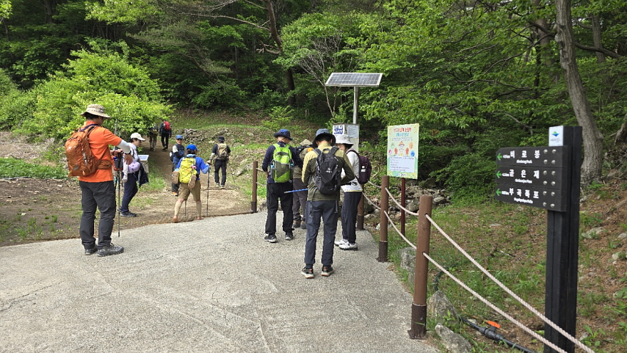 8ff9648233b90.jpg