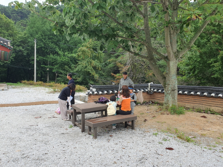 d70e5d6849628.jpg