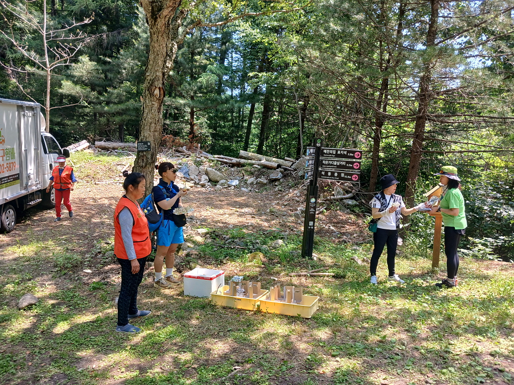 d865ae094d7c8.jpg