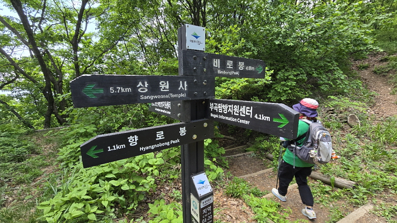 e4b2917693bec.jpg