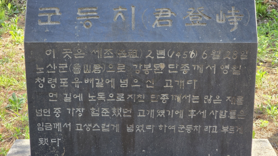 ef546334a8566.jpg