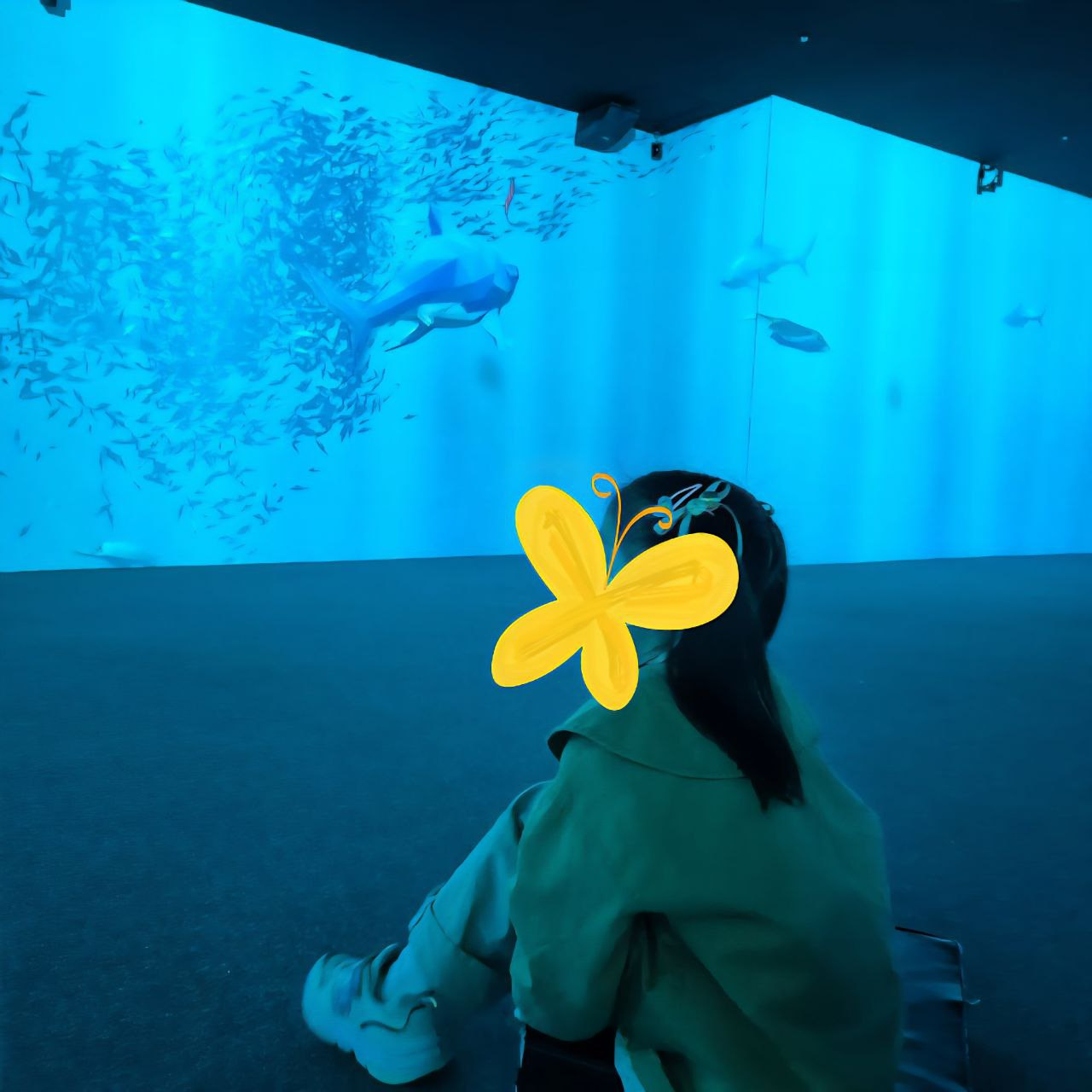 6a71af59361df.png
