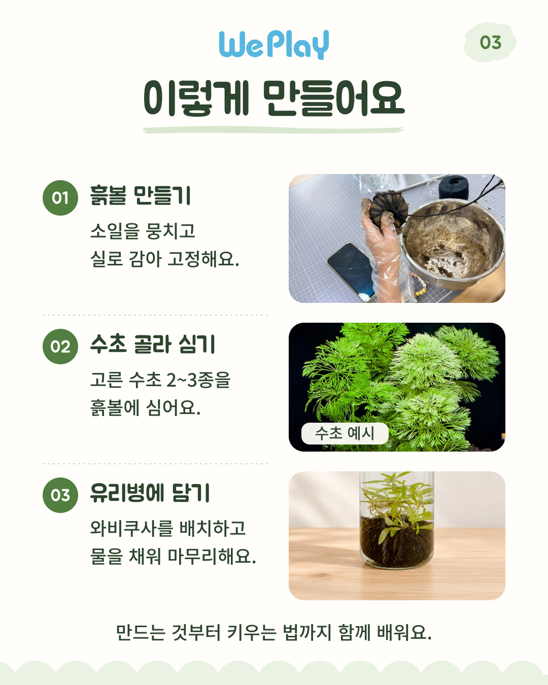 [아쿠아리움] 와비쿠사 수초 키우기 + (새우 or 구피) with 신난다