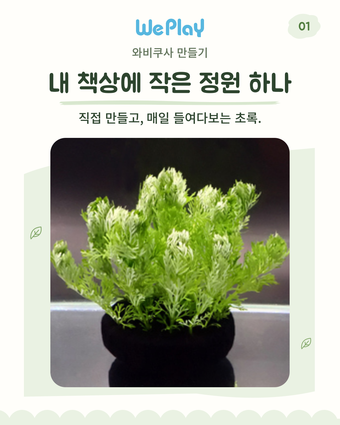 [아쿠아리움] 와비쿠사 수초 키우기 + (새우 or 구피) with 신난다