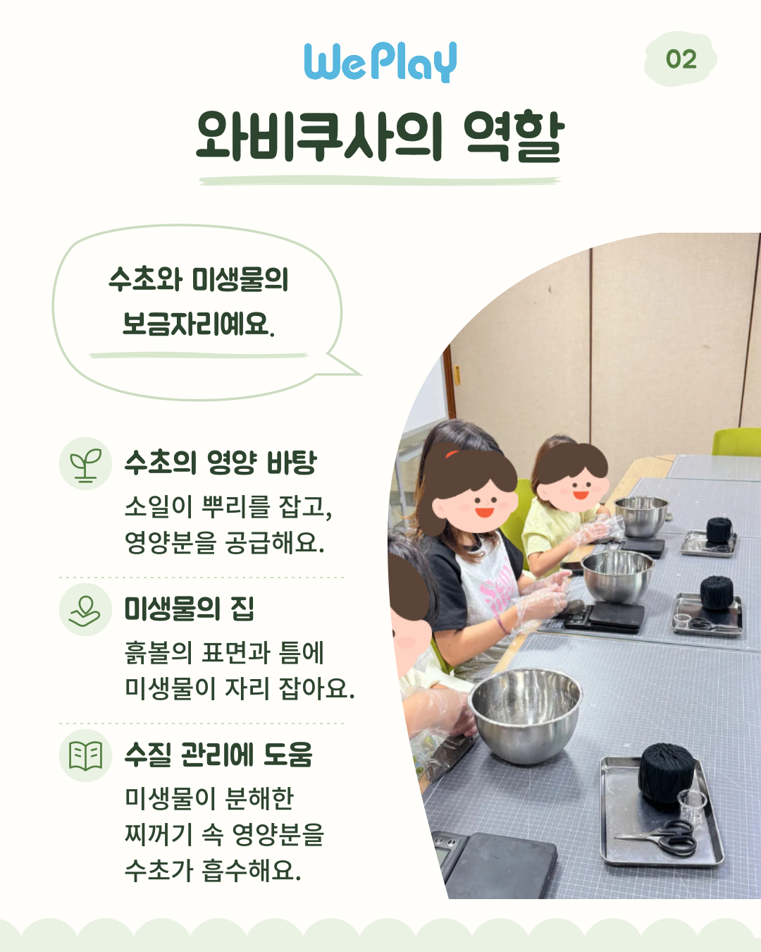 [아쿠아리움] 와비쿠사 수초 키우기 + (새우 or 구피) with 신난다