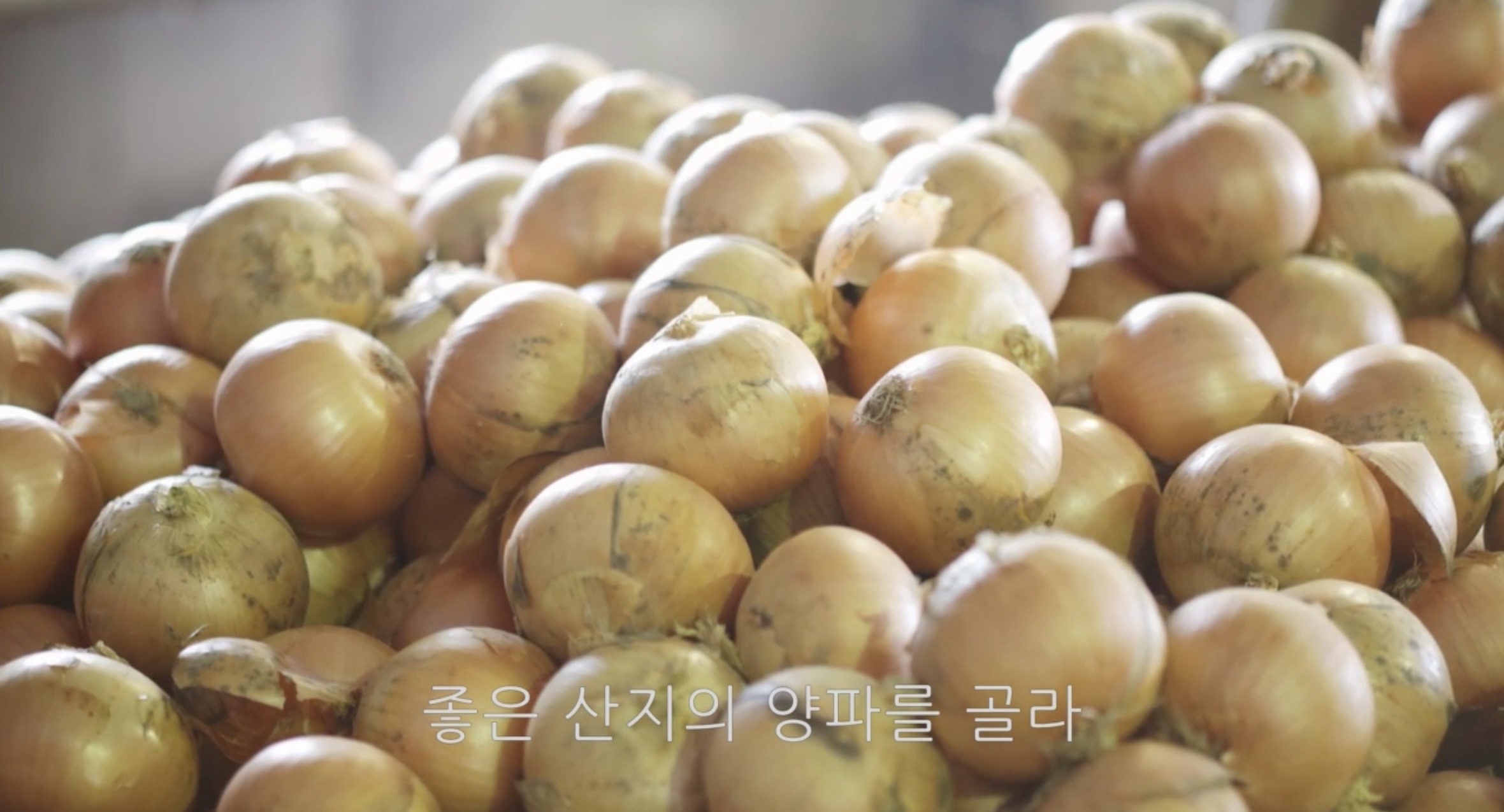 후쿠오카의 레전드 Pietro Dressing