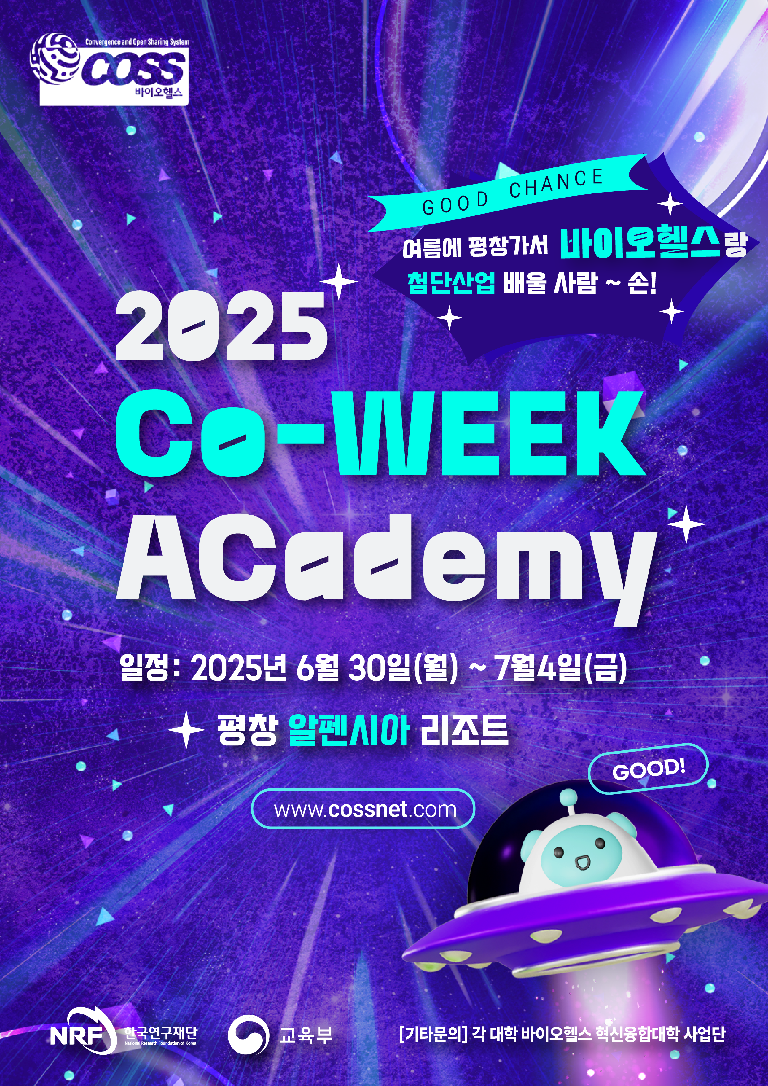 913a20e82b40a.png