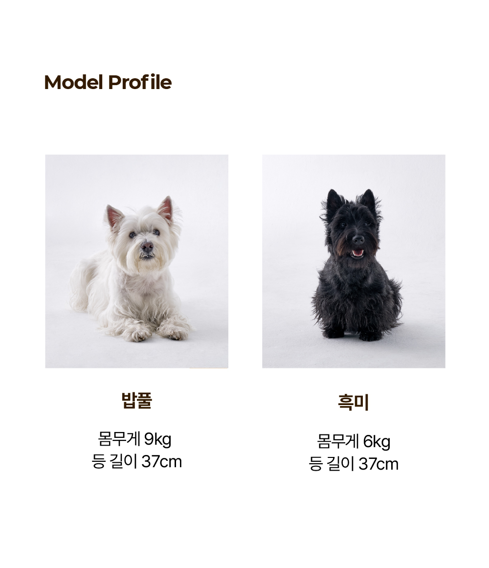 PUKKIE 2 모델견 프로필 - 몸무게 9kg 등길이 37cm 웨스트하이랜드테리어 밥풀, 몸무게 6kg 등길이 37cm 스코티시테리어 흑미 탑승 모습