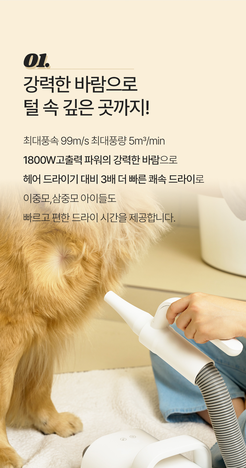 [금주의 PICK] 강력한 바람, 앱스퍼 터치 에어탱크