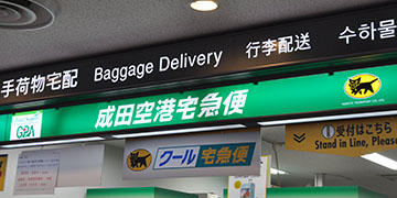 54b914105db7c.jpg