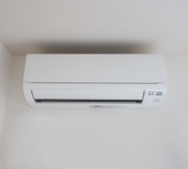 8a1ec28ee1a89.jpg