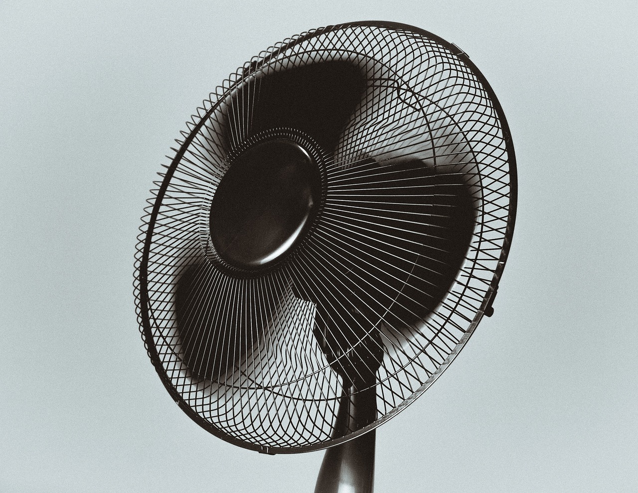 e450bc3781558.jpg