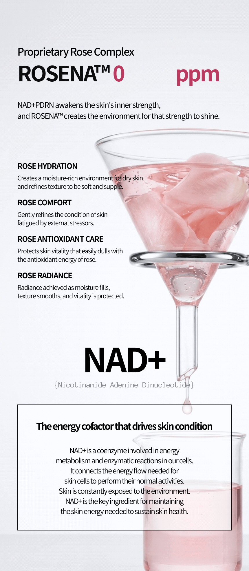 [FRAIJOUR] NAD⁺ PDRN Gentle Smoothie Foam 150ml