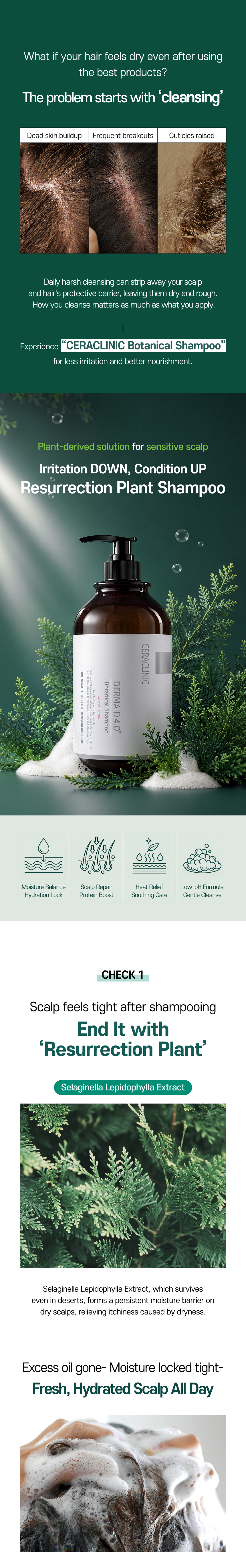 Dermaid 4.0 Botanical Shampoo 1000ml product detail image