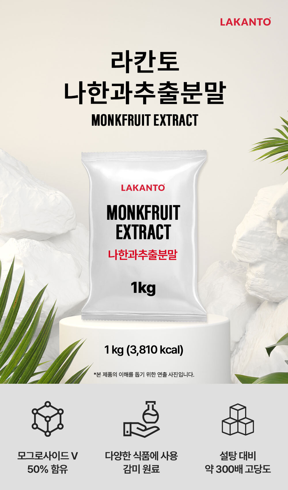 라칸토 나한과추출물 1kg (MV-50)