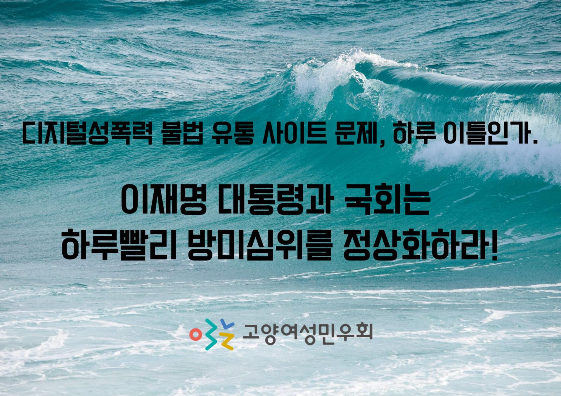 bd33d9f3440a5.jpg