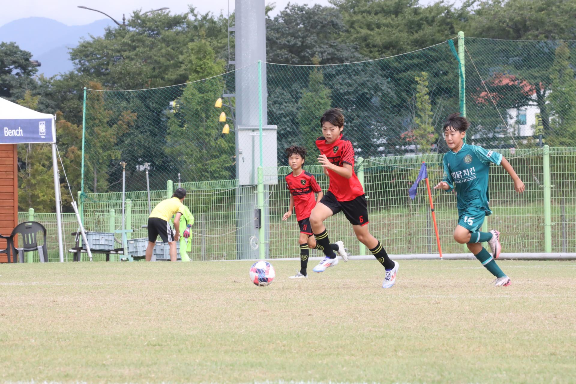 08e057426ac18.jpg
