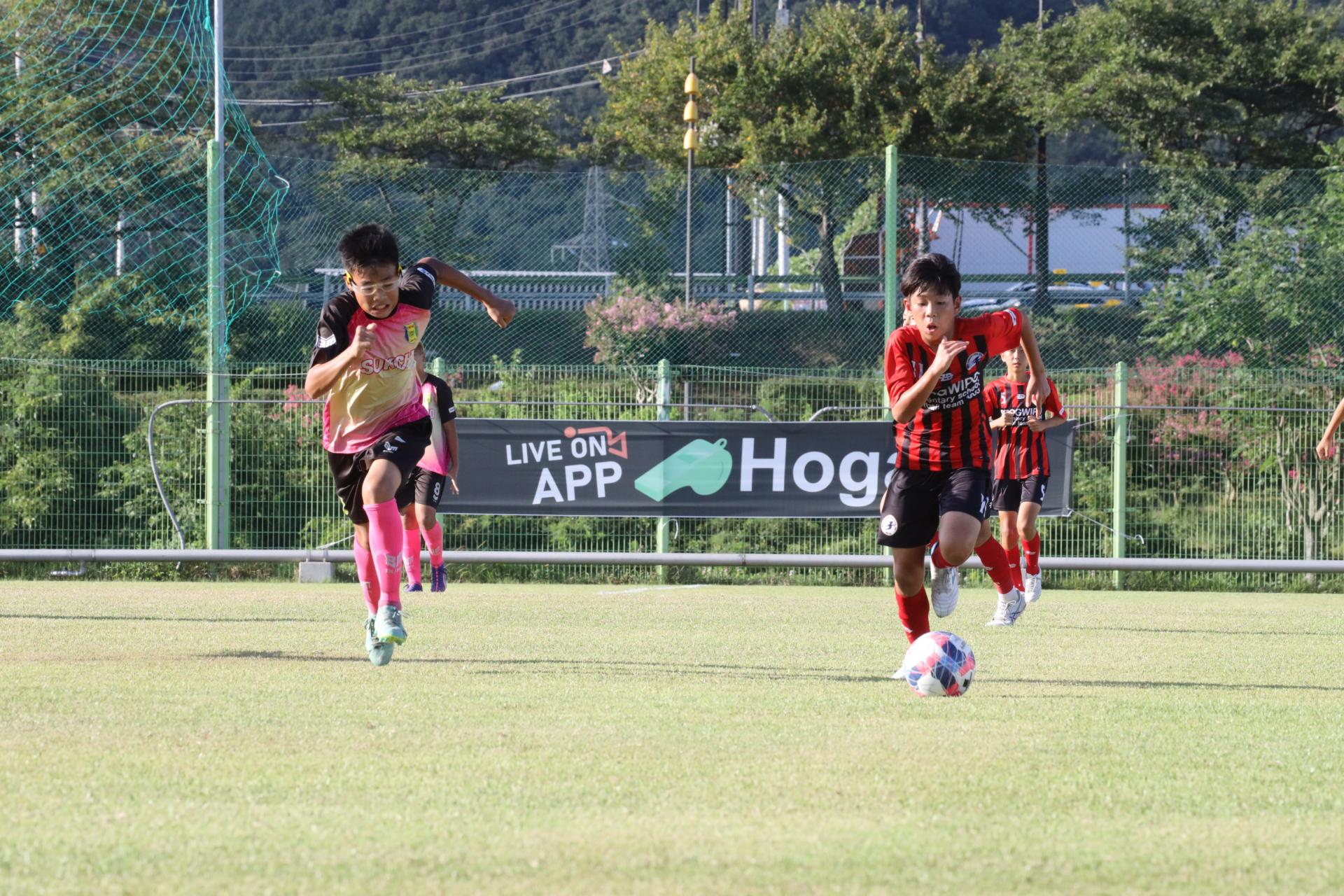 31f114884afa7.jpg