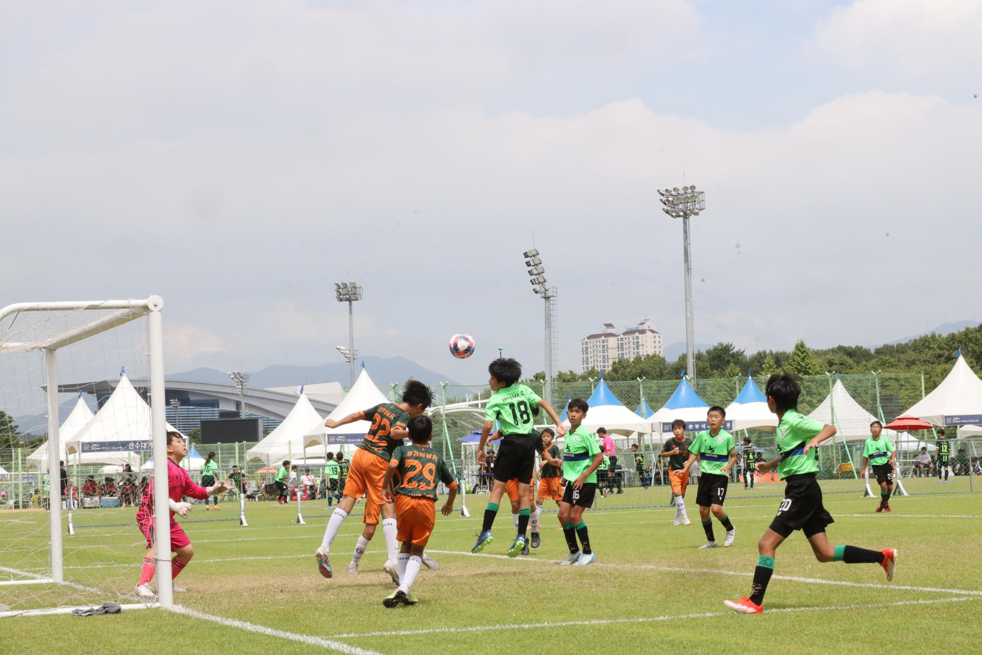 5773b0e3657be.jpg