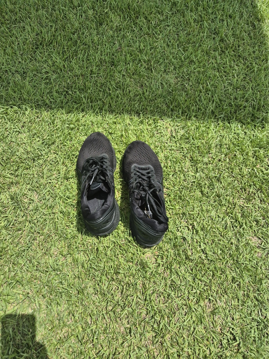 61783051fa722.jpg