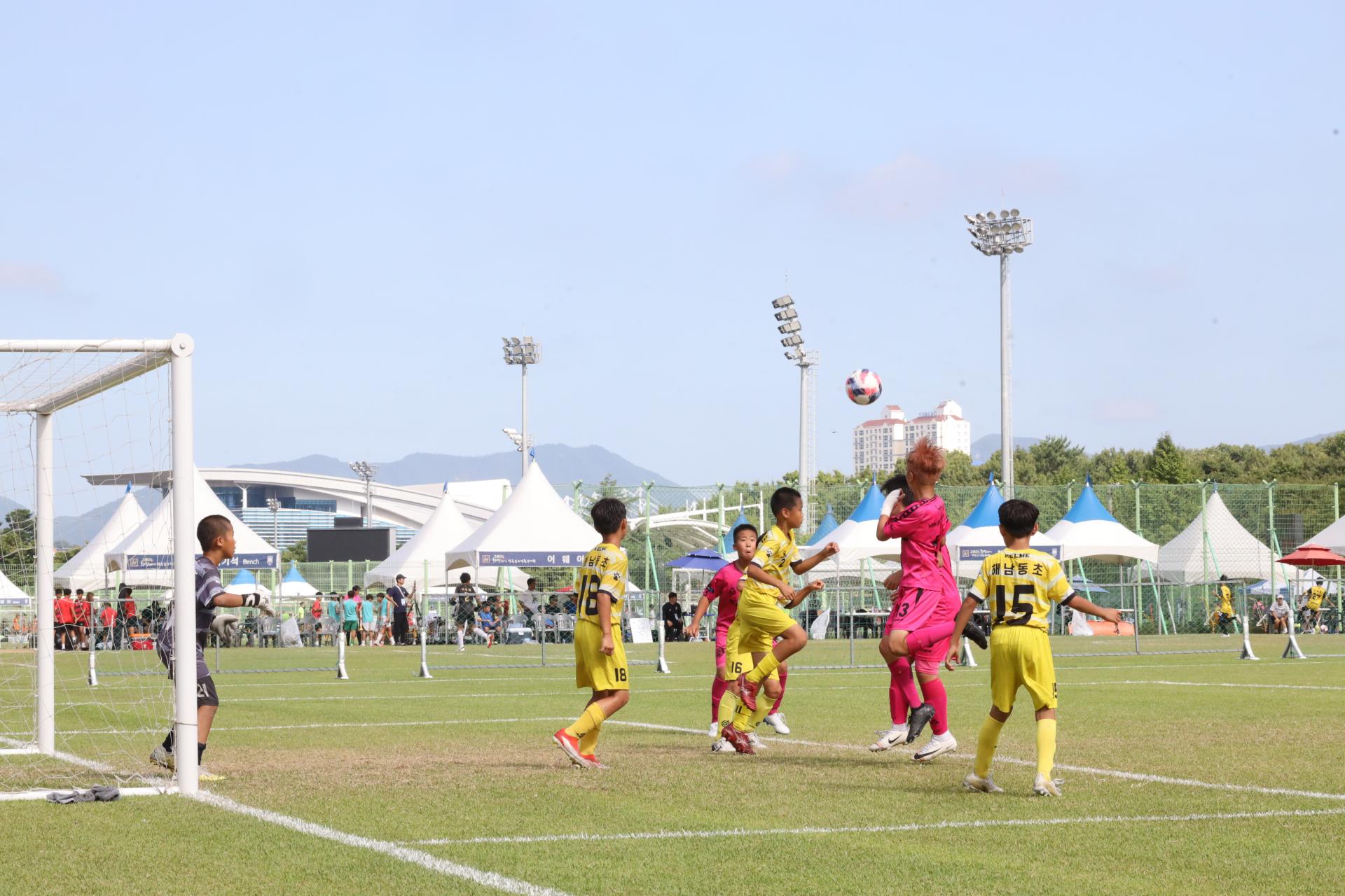 a612584cba76a.jpg
