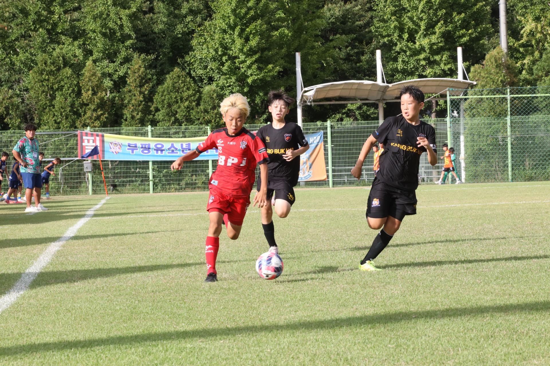 ffa8add09148b.jpg
