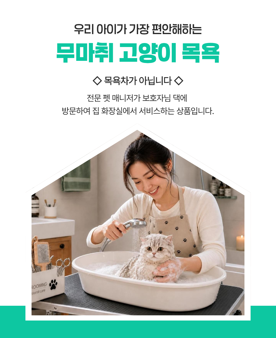 고양이 방문 목욕 / 5kg ~ 6.5kg