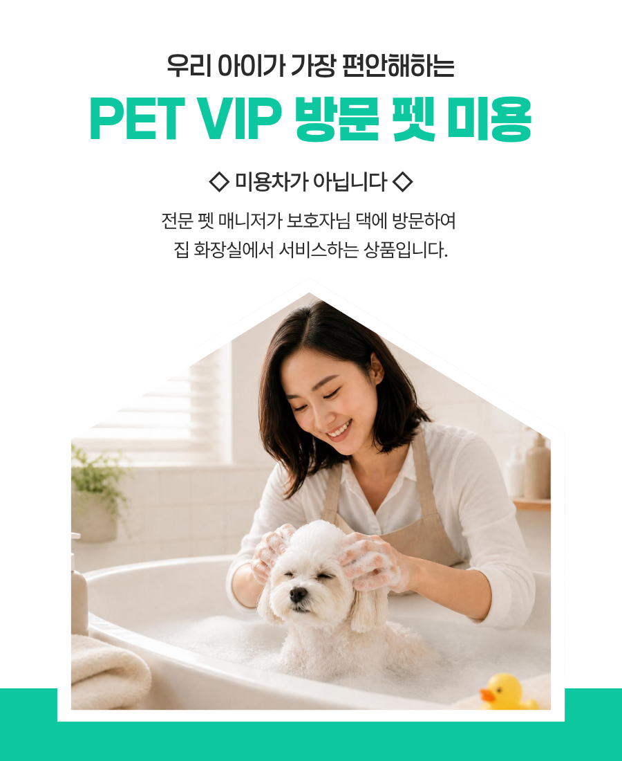 방문 미용 / 특수품종견 / 전체 가위컷 복제