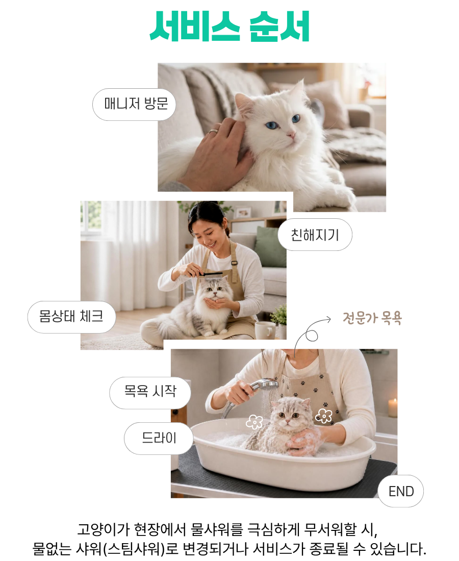 고양이 방문 목욕 / 5kg ~ 6.5kg
