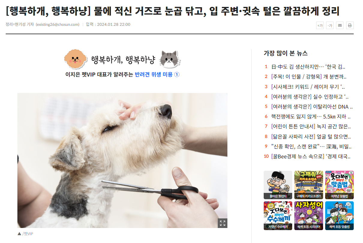 cca2905044cf1.png