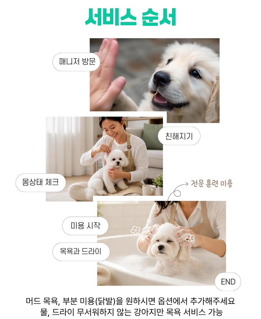 방문 미용 / 특수품종견 / 전체 가위컷 복제