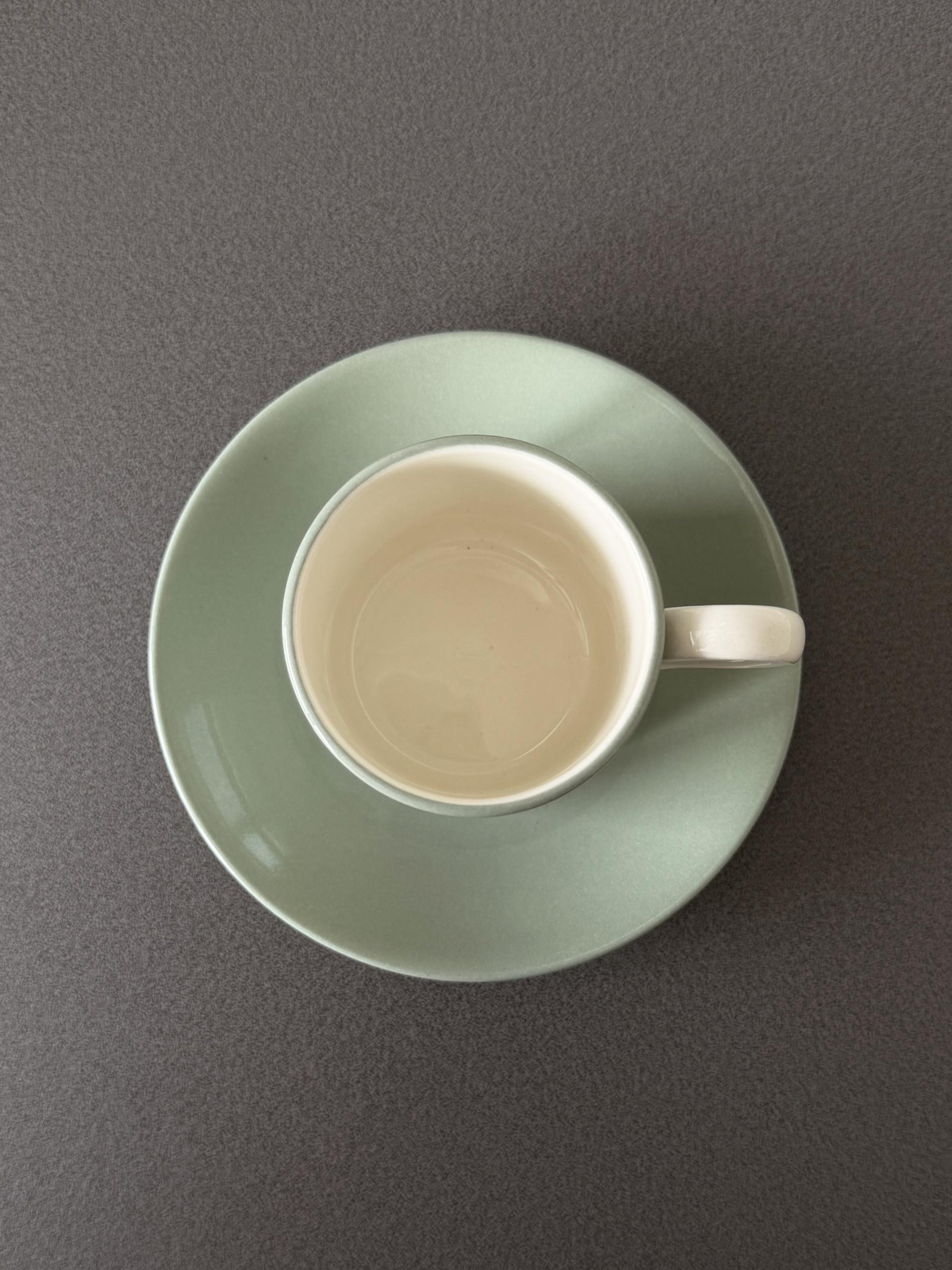 Vintage Wedgwood Winter Green Cup and Saucer