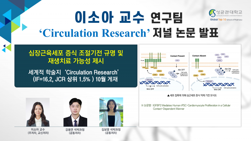 db031396ebdea.png