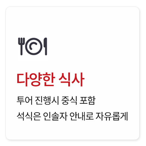 남미 일주 5개국 30일