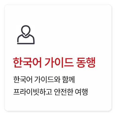 남인도·스리랑카 18일