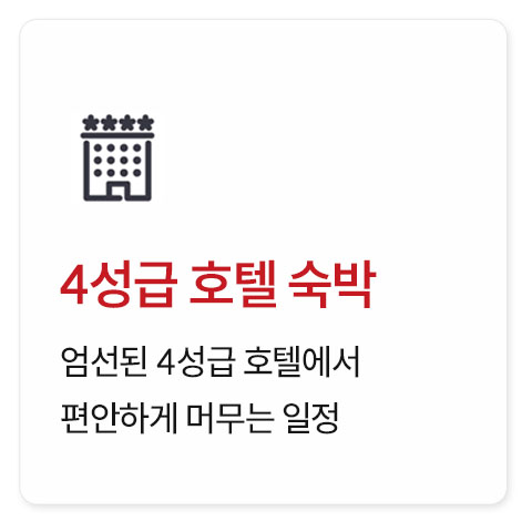 중동 4개국 14일