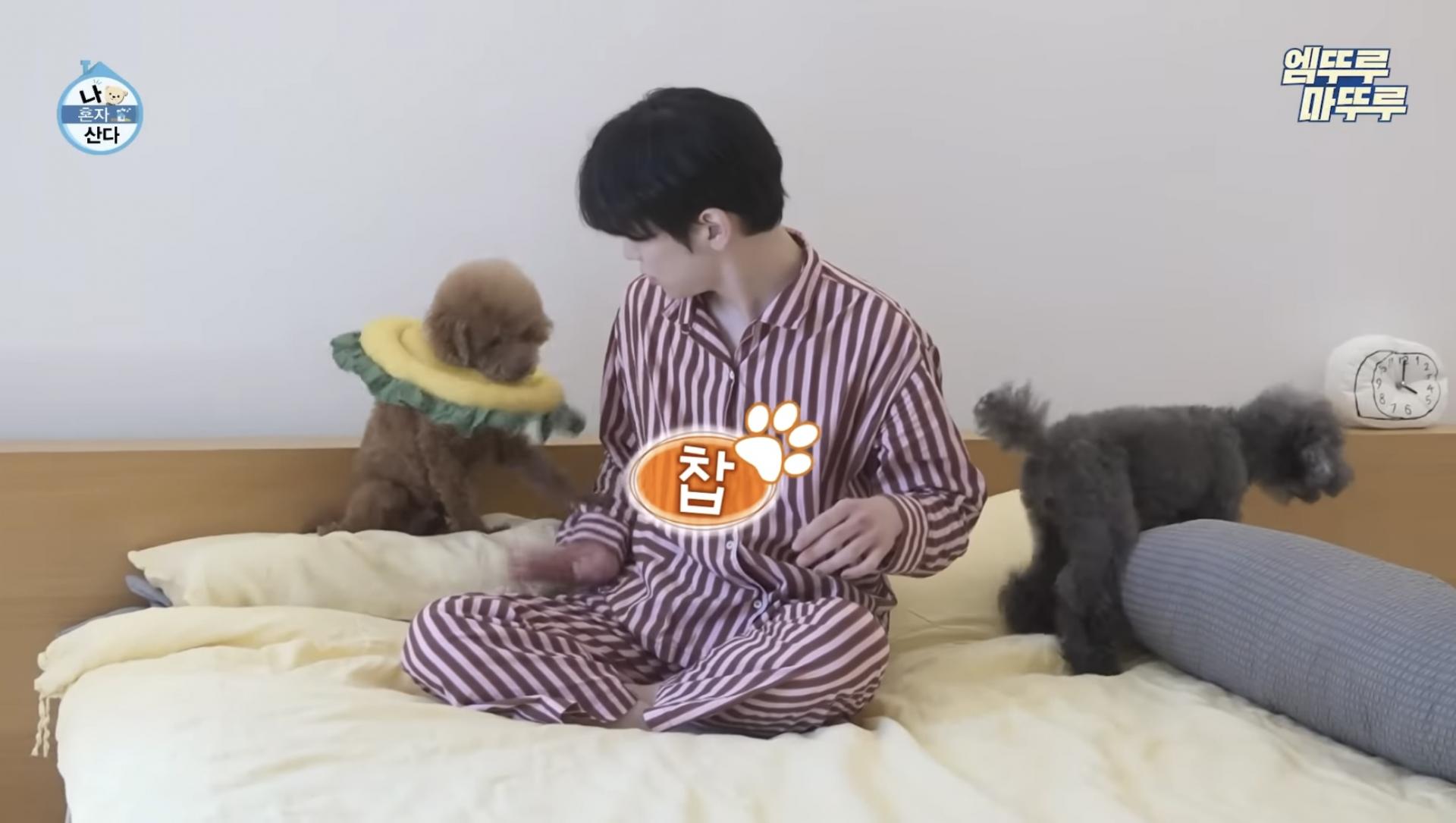 e4a9dac0eb4d3.jpeg