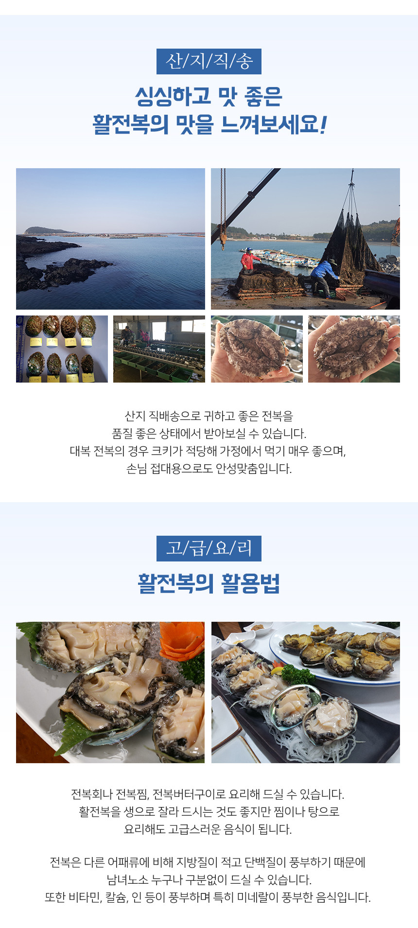 완도 전복(7~8미)