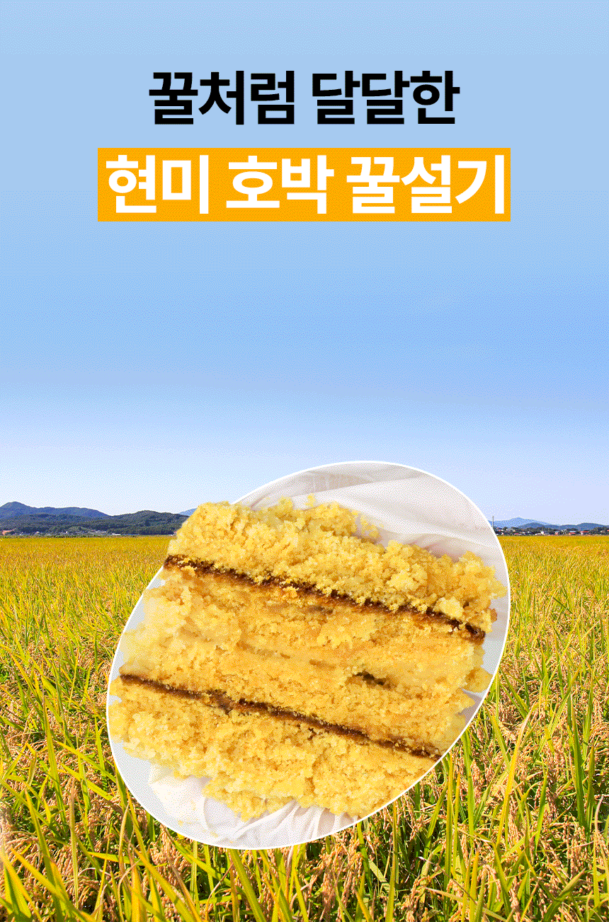 현미 호박 꿀 설기 12/24개입