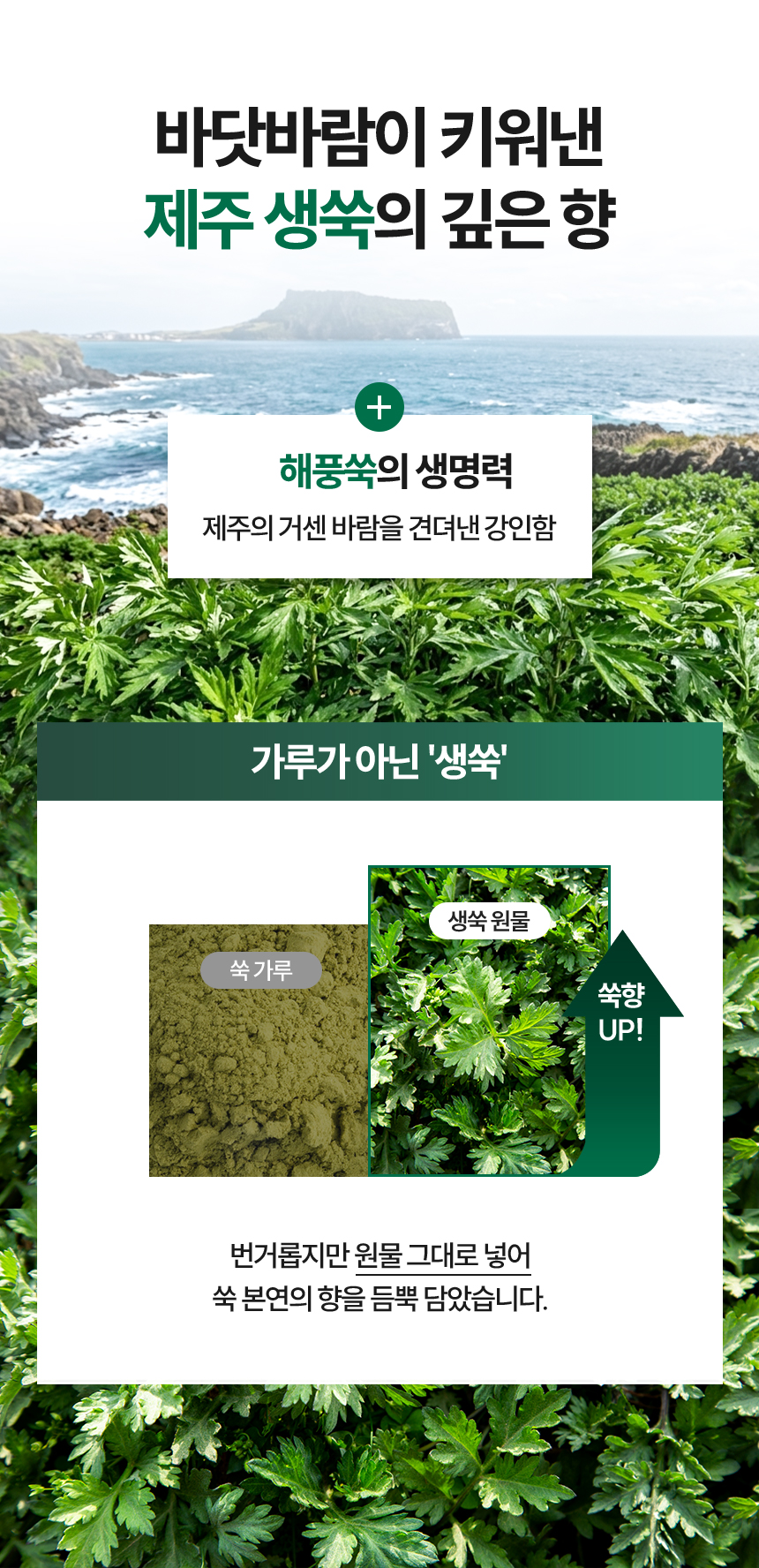 현미 밥알 쑥설기 12/24개입