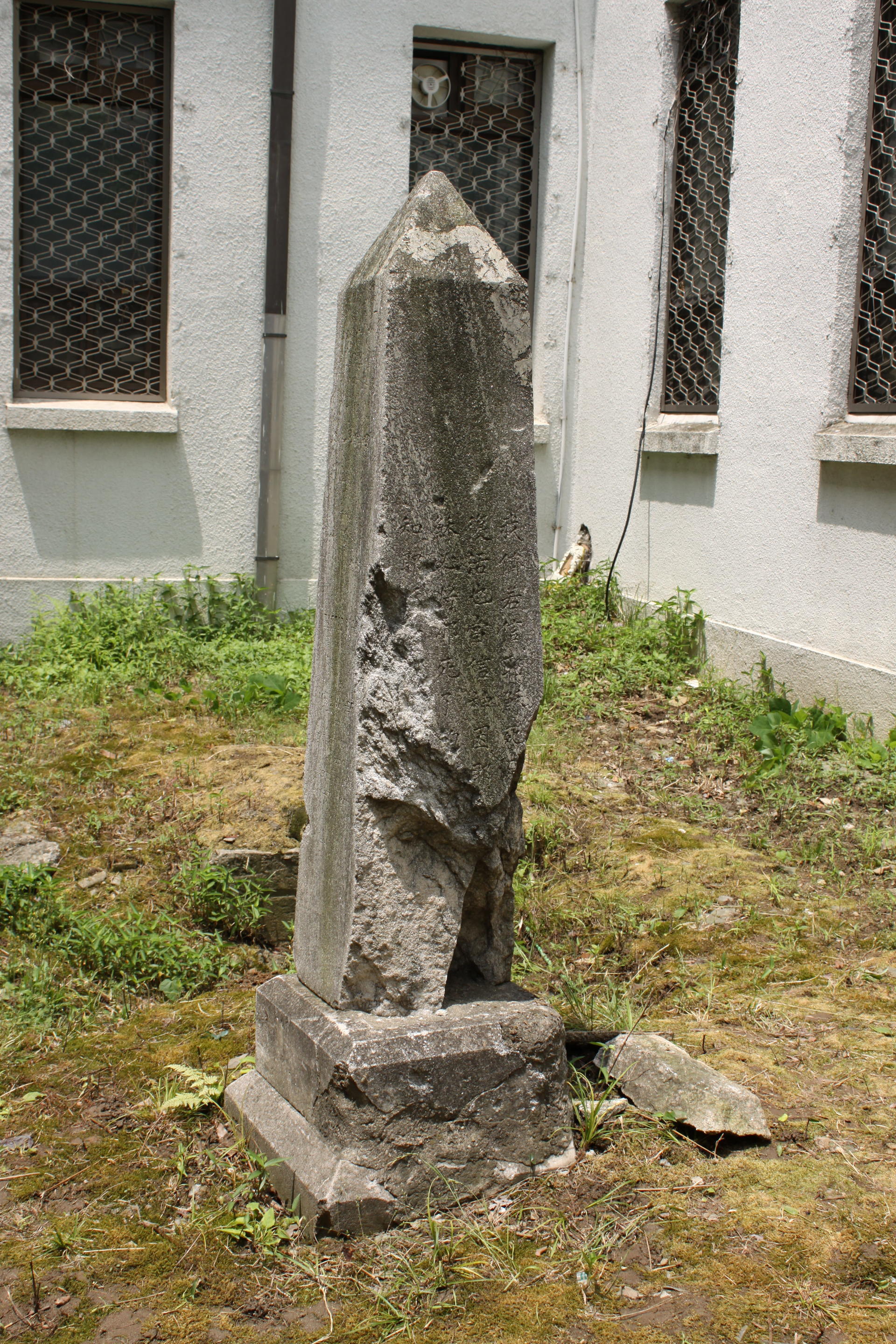 17a92ca140d7b.jpg