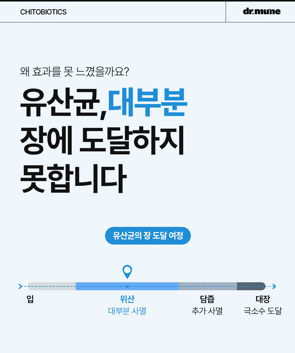 닥터뮨 키토바이오틱스 강아지 고양이 유산균 영양제 장&면역 프로바이오틱스 40p