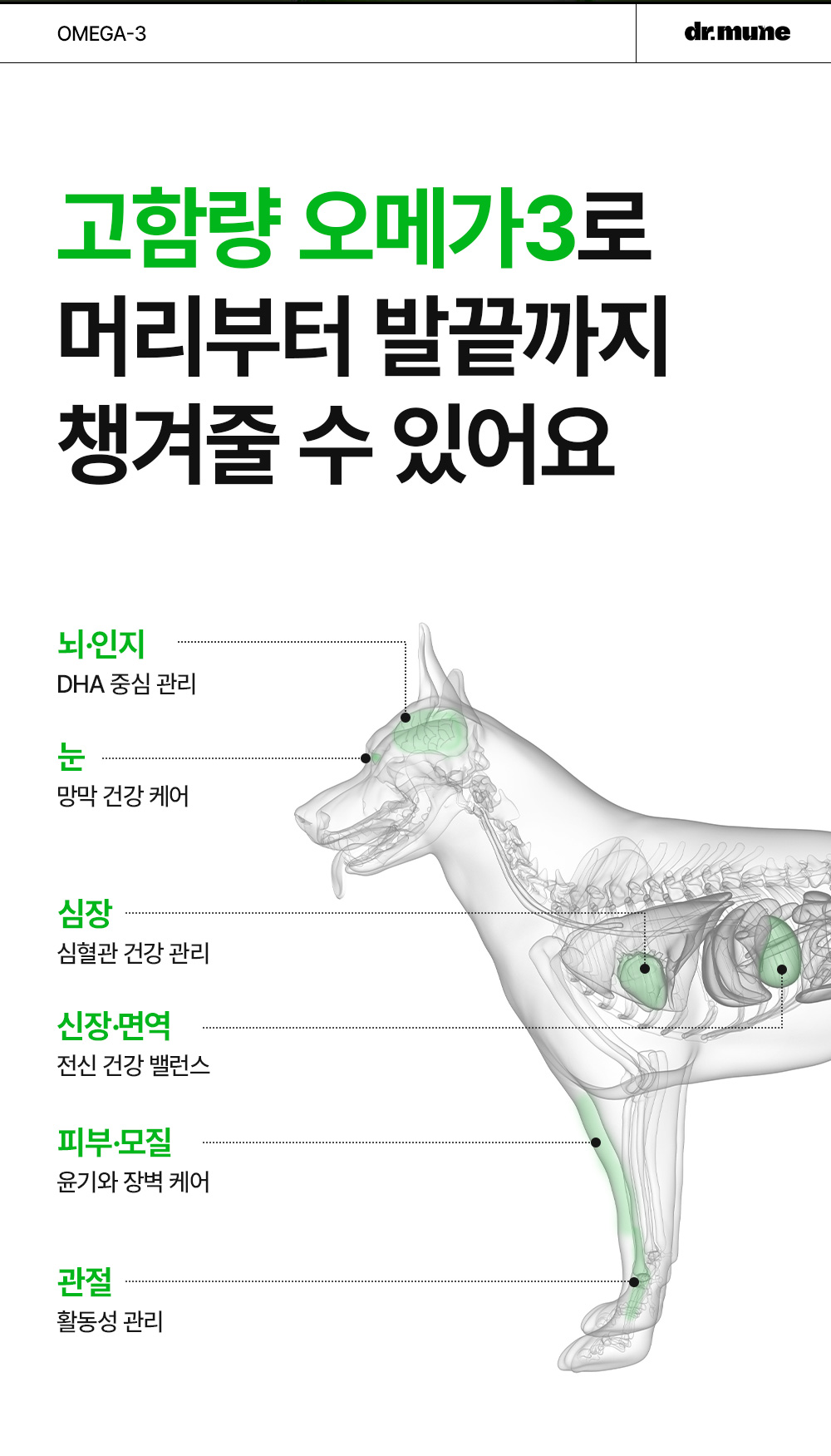 닥터뮨 식물성 오메가3 강아지 고양이 두뇌 심혈관 면역력 항산화 피부