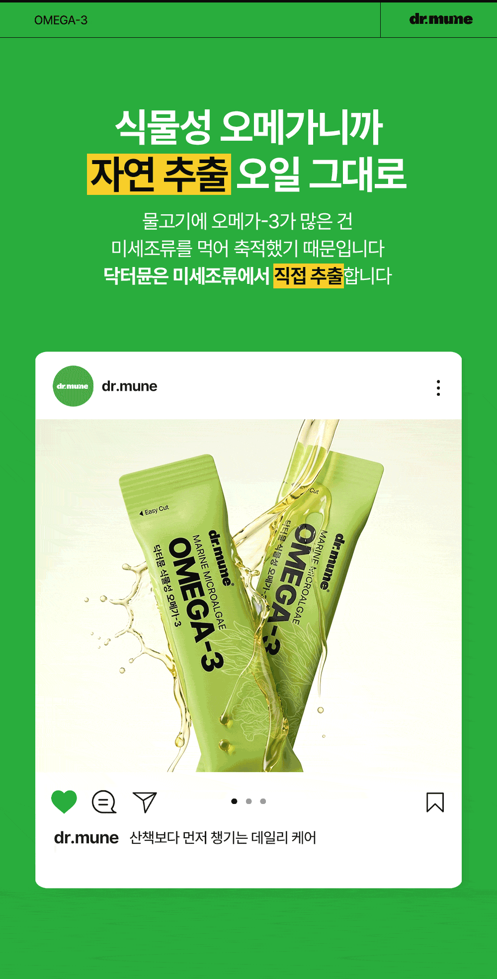 닥터뮨 식물성 오메가3 강아지 고양이 두뇌 심혈관 면역력 항산화 피부