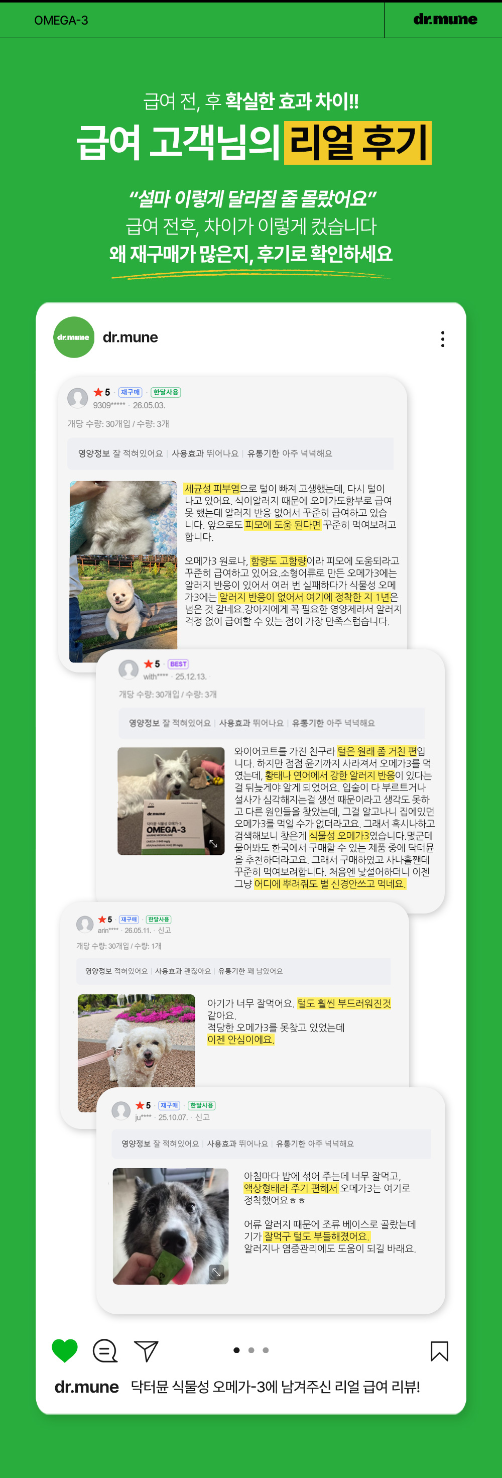 닥터뮨 식물성 오메가3 강아지 고양이 두뇌 심혈관 면역력 항산화 피부