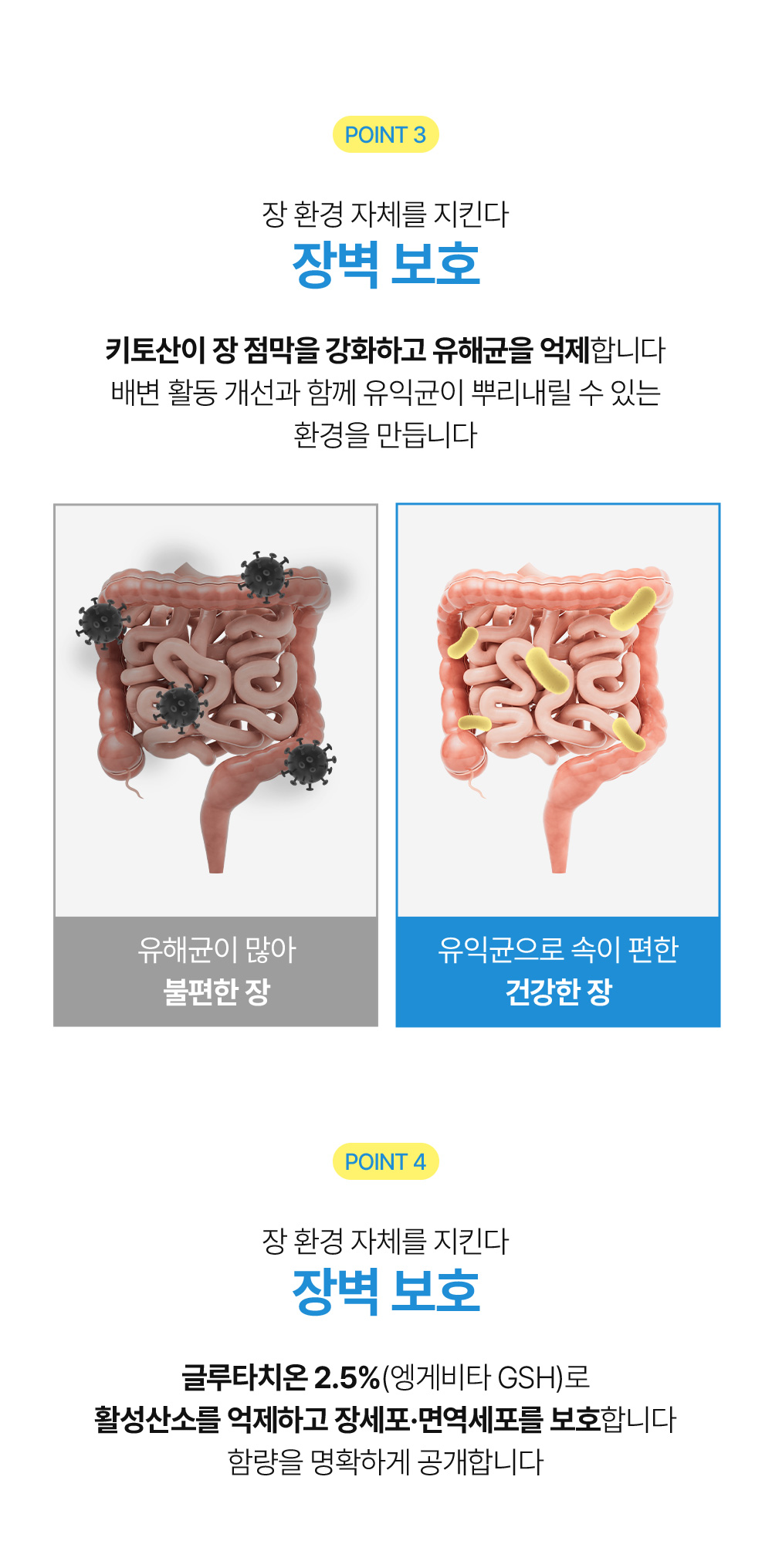 닥터뮨 키토바이오틱스 강아지 고양이 유산균 영양제 장&면역 프로바이오틱스 40p